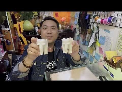 風水 大象